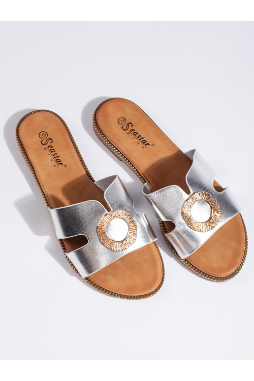 Sudraba krāsas  čības  