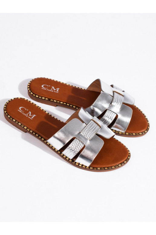 Sudraba krāsas  čības 