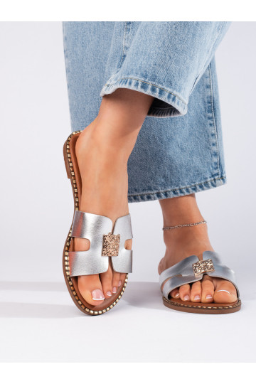 Sudraba krāsas  čības   2