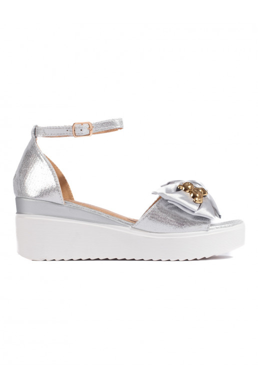 Sudraba krāsas  kurpes  