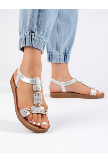 Sudraba krāsas kurpes