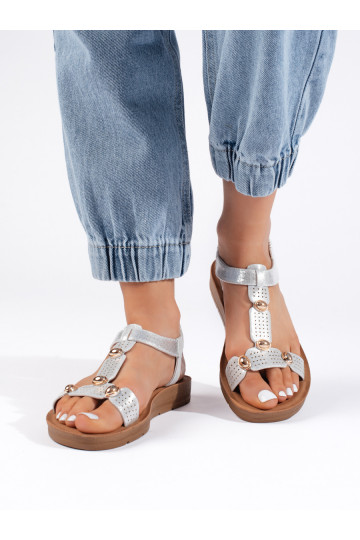 Sudraba krāsas kurpes   2