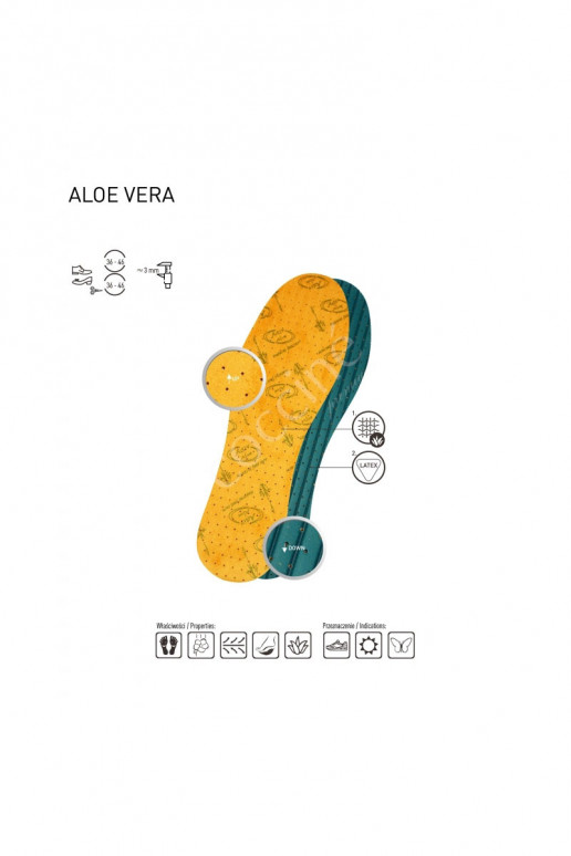 Coccine Leliktņi ALOE VERA Coccine Leliktņi ALOE VERA