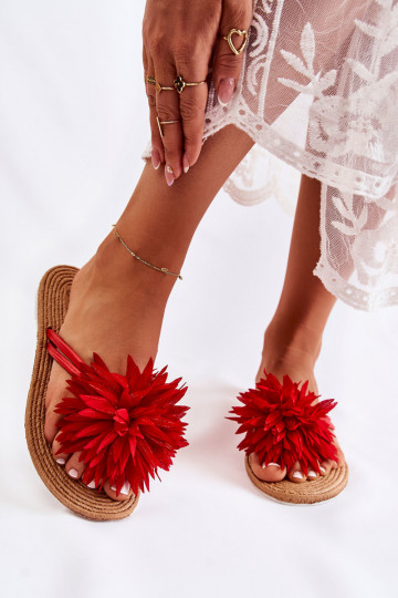 Čības modernas iešļūcenes sarkanas krāsas Eviana 2