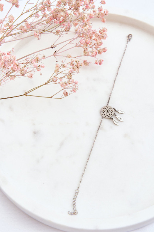 Aproce Sudraba krāsas