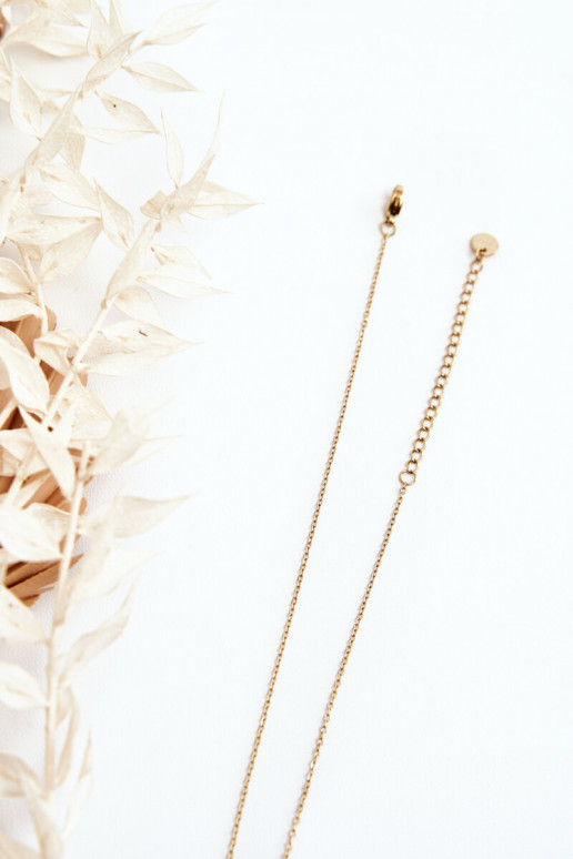 Kaklarota Zelta krāsas Kaklarota Zelta krāsas