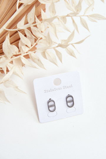 Stilīgi auskari Sudraba krāsas