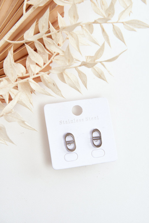 Stilīgi auskari Sudraba krāsas Stilīgi auskari Sudraba krāsas