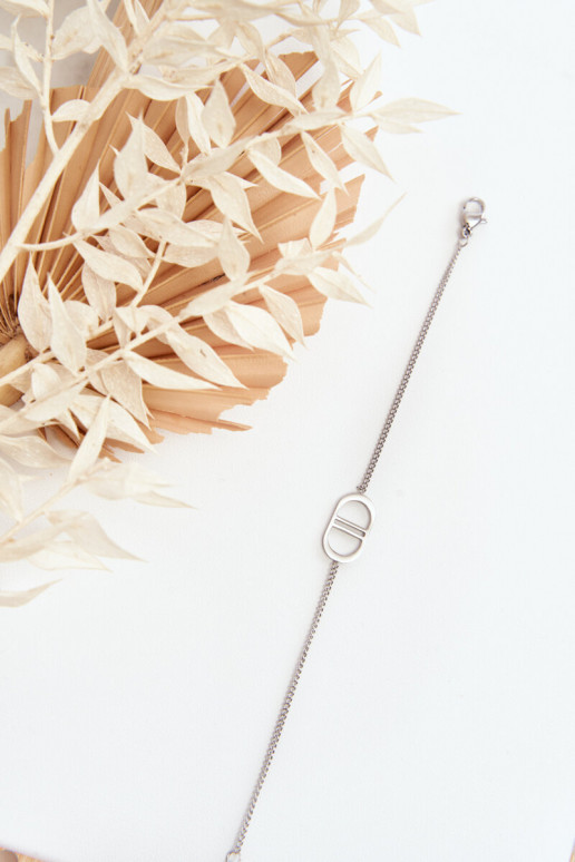 Aproce no nerūsējošā tērauda Sudraba krāsas Aproce no nerūsējošā tērauda Sudraba krāsas