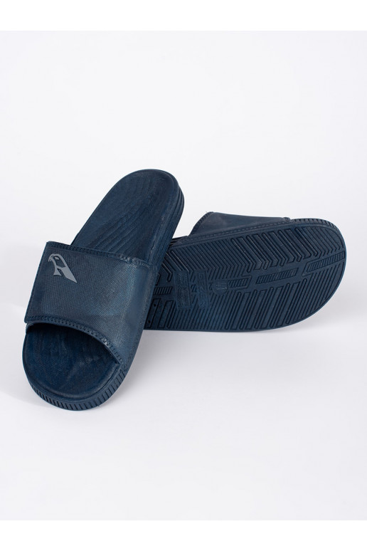 Zilas krāsas čības  