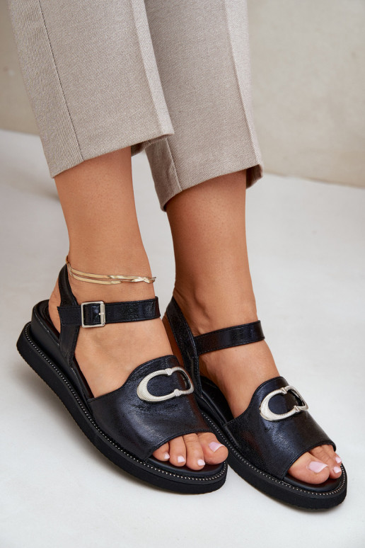 Lakotas basenes  ar ornamentiem Melns Salianes