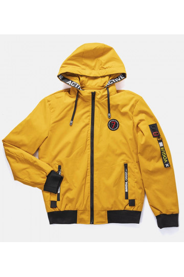 Dzeltena vīriešu Tollmache...