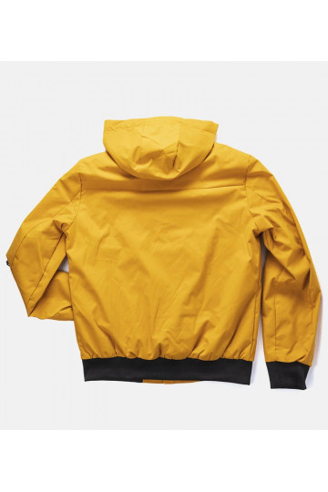 Dzeltena vīriešu Tollmache... 2