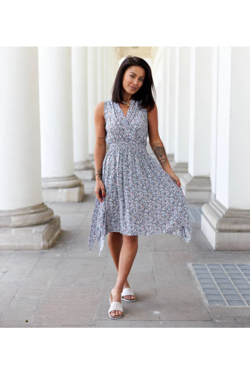 Lodovica daudzkrāsaina... 2