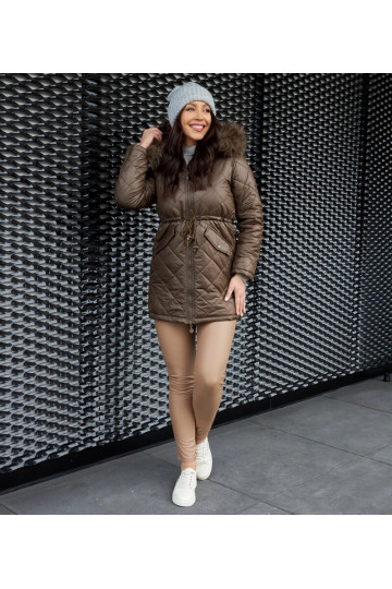 Brūna Spontin grozāma... 2