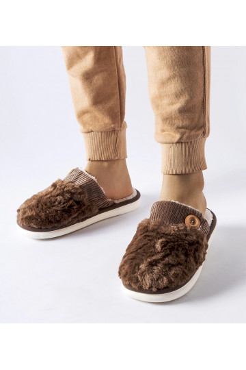 Brūnas izolētas Lakeland čības