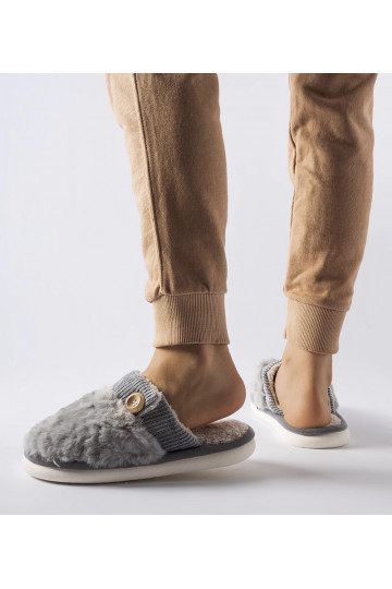 Lakeland pelēkas izolētas... 2