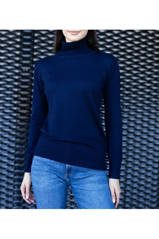 Tumši zils brīvs bruņurupucis Nida Tumši zils brīvs bruņurupucis Nida