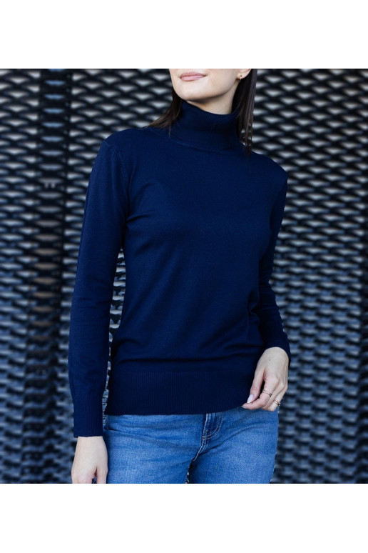 Tumši zils brīvs bruņurupucis Nida Tumši zils brīvs bruņurupucis Nida