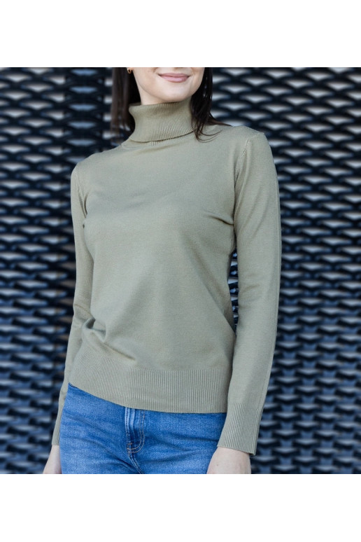 Zaļš brīvs bruņurupucis Nida Zaļš brīvs bruņurupucis Nida