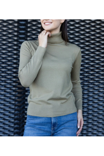 Zaļš brīvs bruņurupucis Nida 2