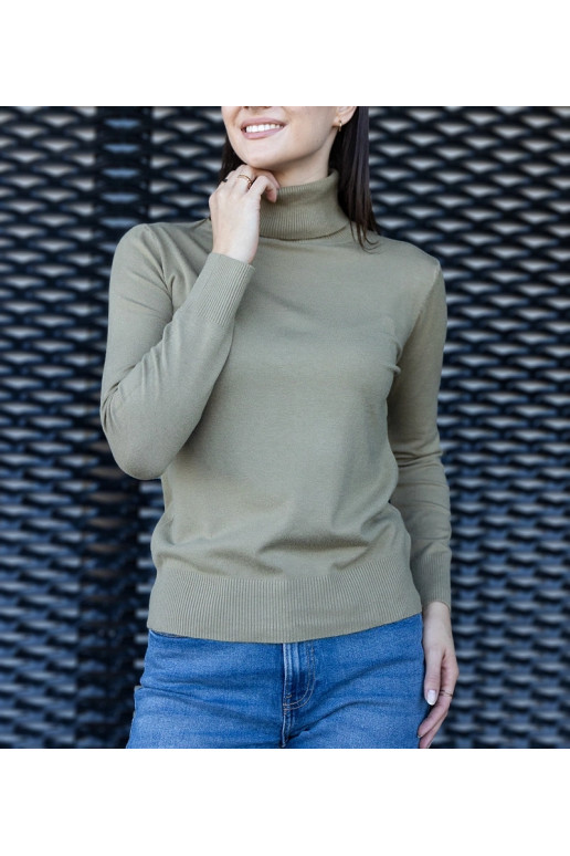 Zaļš brīvs bruņurupucis Nida Zaļš brīvs bruņurupucis Nida