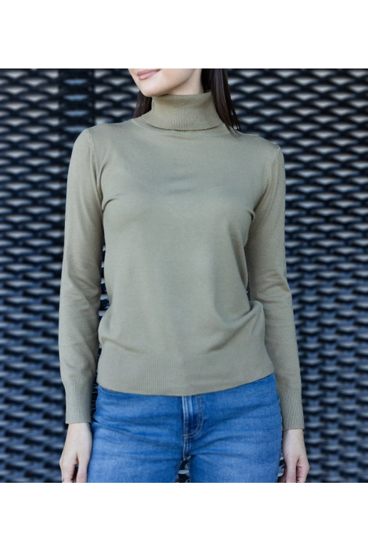 Zaļš brīvs bruņurupucis Nida Zaļš brīvs bruņurupucis Nida