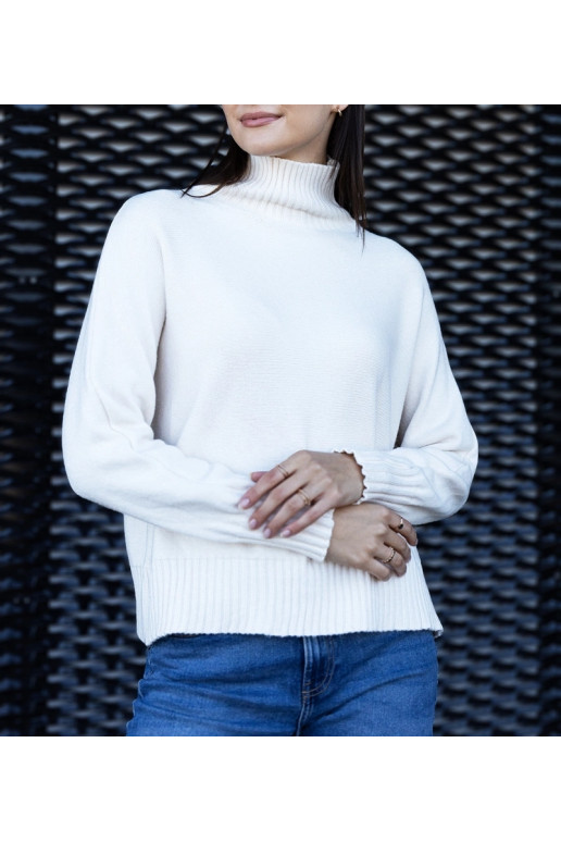 Balts, brīvs Lukana bruņurupucis Balts, brīvs Lukana bruņurupucis