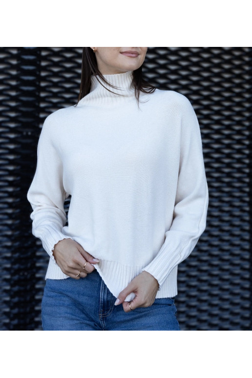 Balts, brīvs Lukana bruņurupucis Balts, brīvs Lukana bruņurupucis