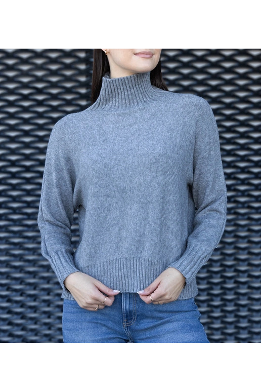 Pelēks, brīvs Lukana bruņurupucis Pelēks, brīvs Lukana bruņurupucis