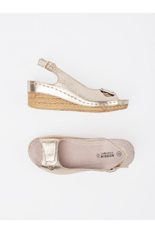 Zelta krāsas kurpes 