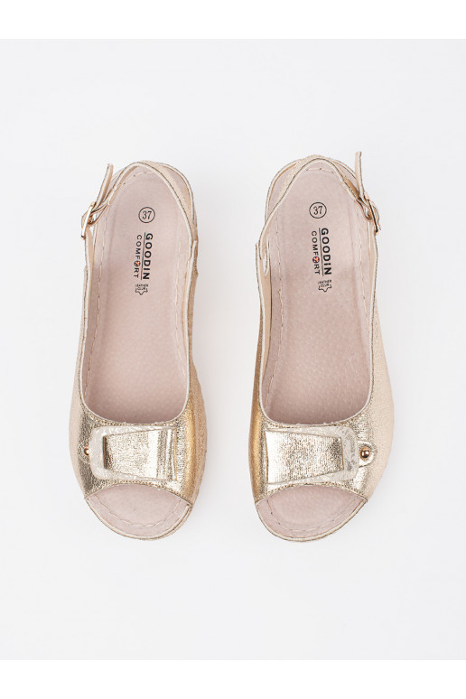 Zelta krāsas kurpes 