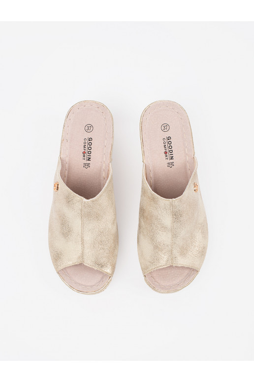 Zelta krāsas čības    Zelta krāsas čības