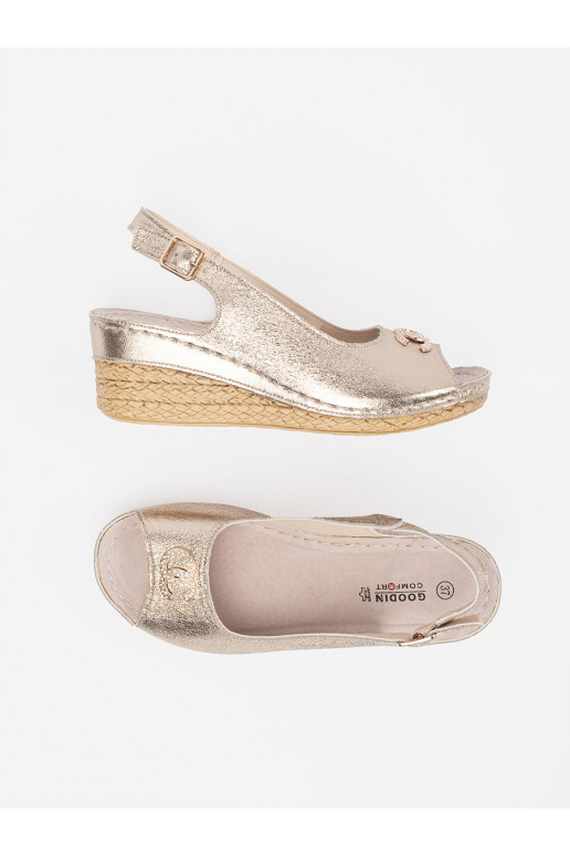 Zelta krāsas kurpes  