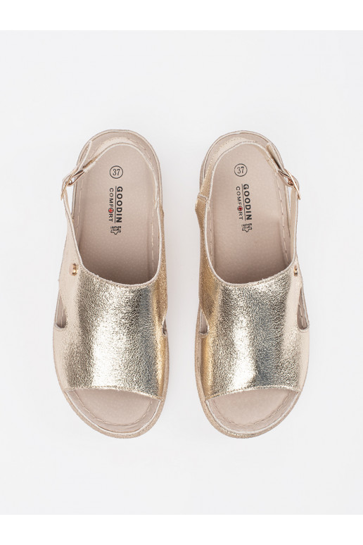 Zelta krāsas  kurpes 