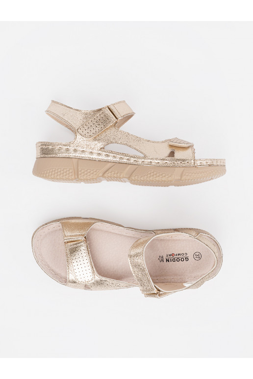 Zelta krāsas  kurpes  Zelta krāsas  kurpes