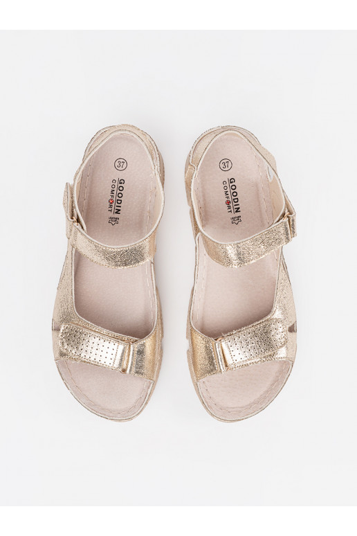 Zelta krāsas  kurpes  Zelta krāsas  kurpes