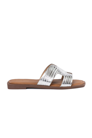 Sudraba krāsas čības