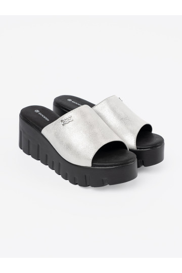 Sudraba krāsas čības   2