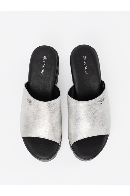 Sudraba krāsas čības  