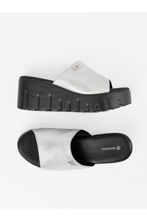 Sudraba krāsas čības  