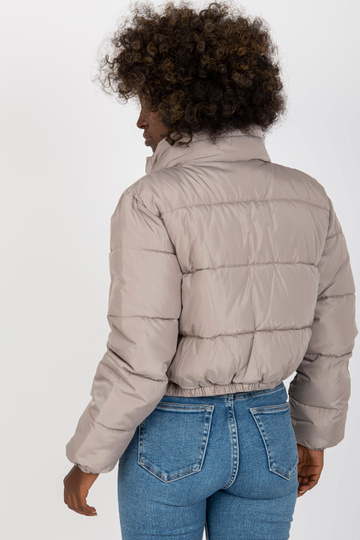 Gaiši pelēka stepēta ziemas... 2