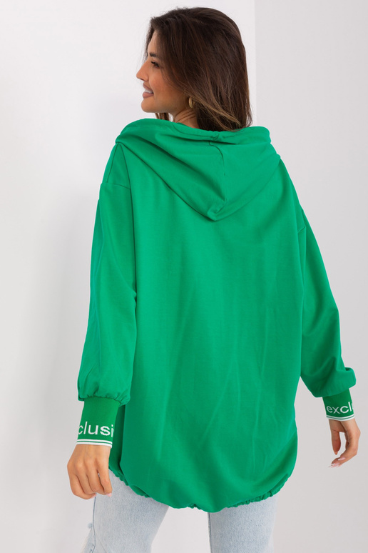 Džemperis-RV-BL-9096.43P-zaļš