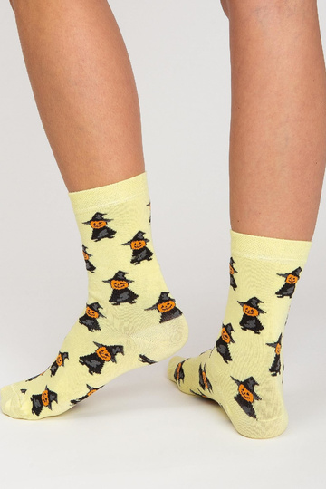 Krāsains zeķu komplekts 2