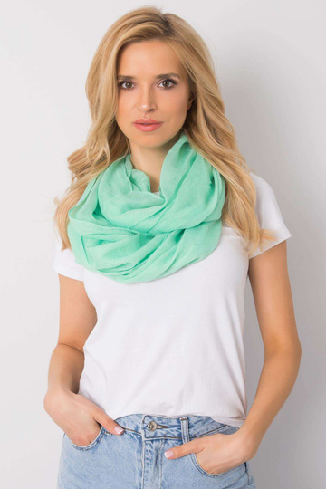 Zaļš skurstenis ar spīdīgu... 2