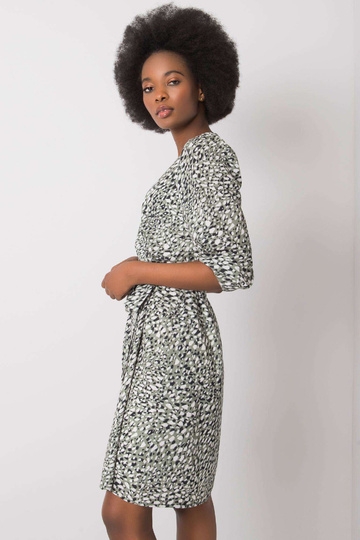 Zaļa kleita ar Jianna apdrukām 2