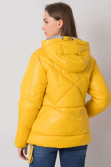 Dzeltena stepēta ziemas...