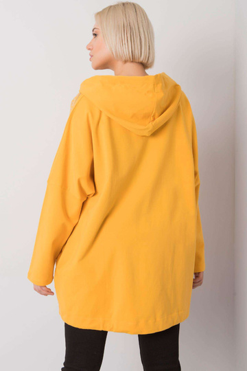 Atēnu dzeltenais rāvējslēdzējs