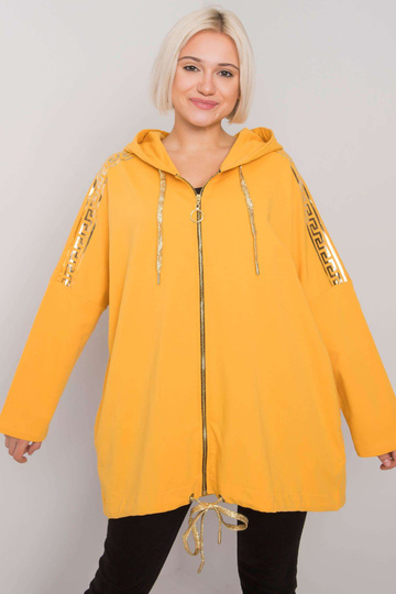 Atēnu dzeltenais rāvējslēdzējs 2