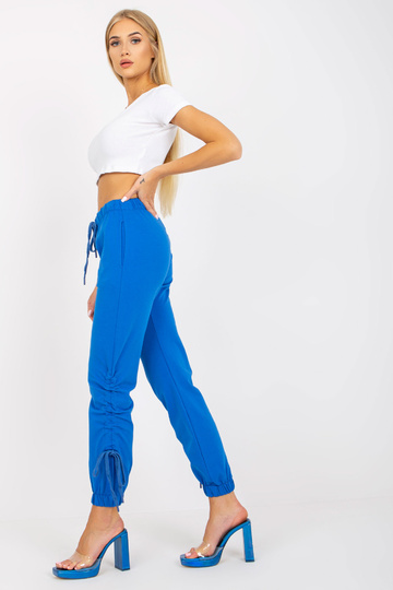 Zilas sporta bikses ar...